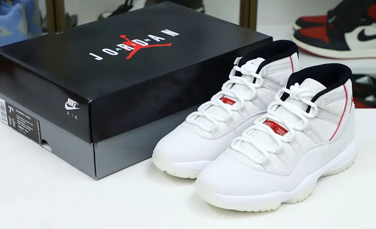 11 PLATINUM JORDAN TINT RETRO XI AIR 0524